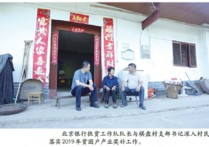 “甜蜜产业”铺就致富路