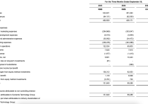 尚德机构2024年第三季度净利润8929万元“行业正处于结构性转型期”